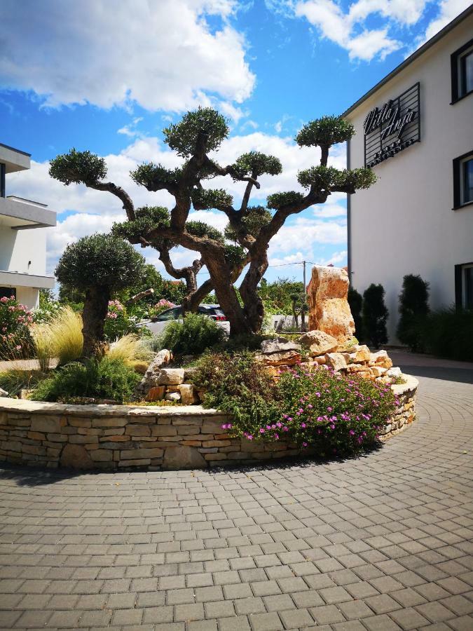 Villa Anja 2Nd Floor ペロイ エクステリア 写真